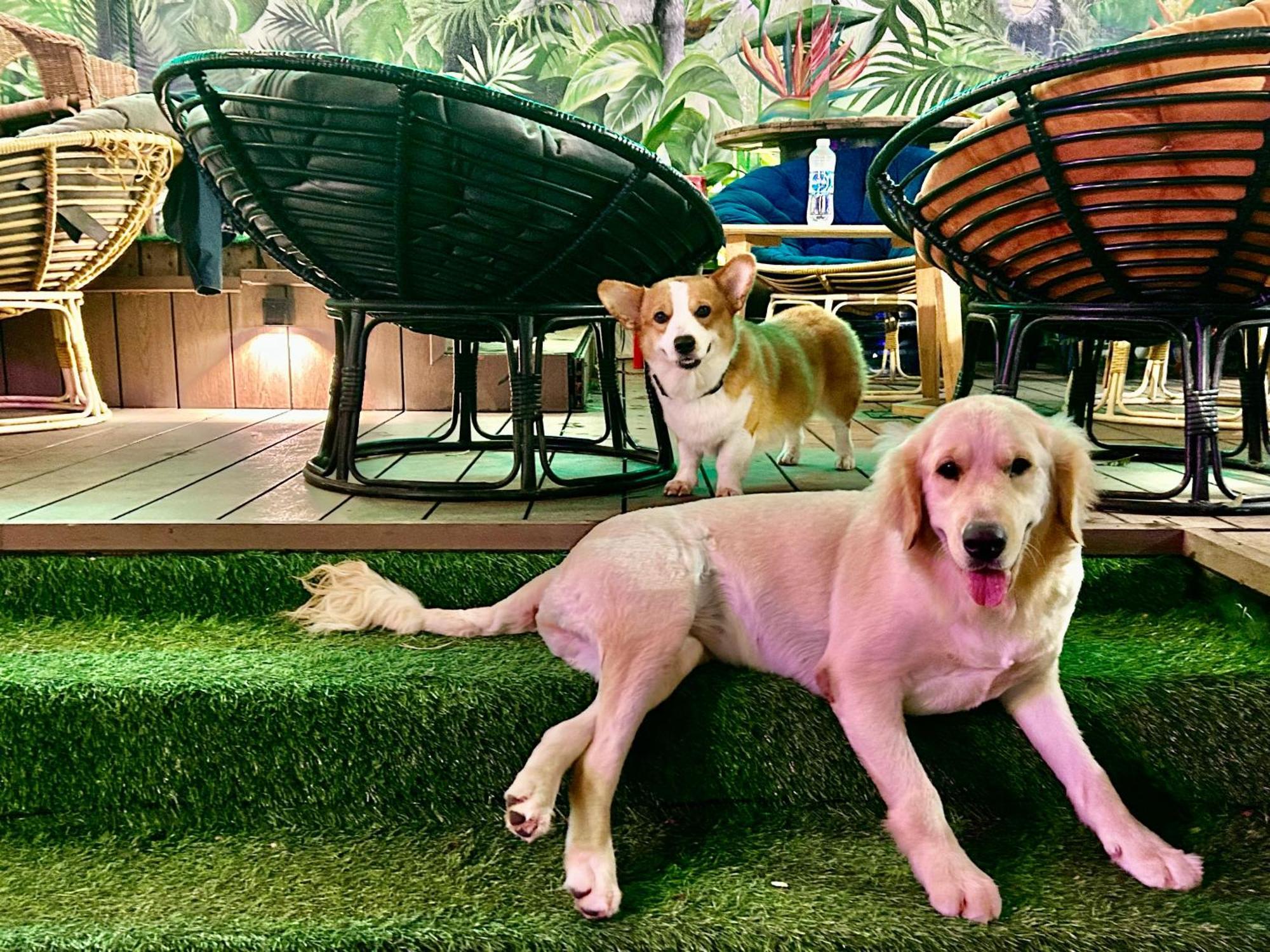 Rom Casa Hostel Da Nang Luaran gambar